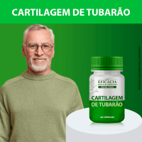 cartilagem-de-tubar-o-60-capsulas