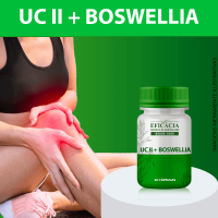 uc-ii-boswellha-30-capsulas