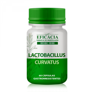 Lactobacillus Curvatus - 60 cápsulas gastrorresistentes